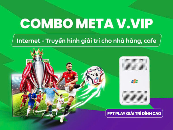 meta v.vip